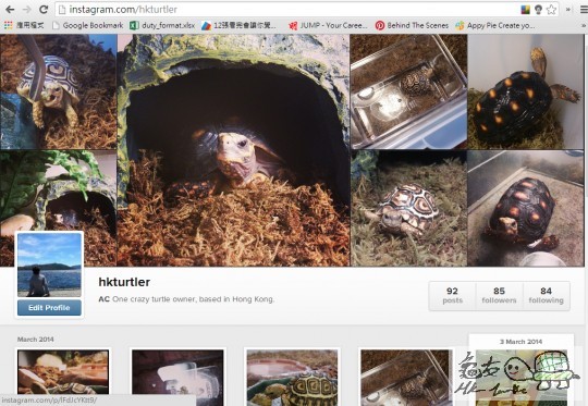 全螢幕擷取 1332014 144352.bmp.jpg