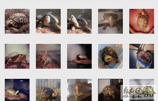 全螢幕擷取 1332014 144421.bmp.jpg