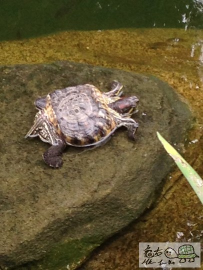 2014-03-16 12.42.20.jpg