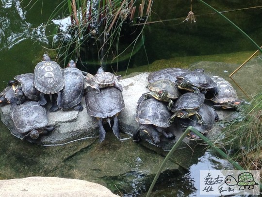 2014-03-16 12.42.42.jpg