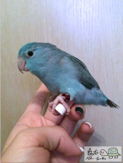 Screen Shot 2014-03-18 at 10.42.39 am.png