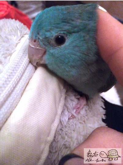 Screen Shot 2014-03-18 at 10.42.21 am.png