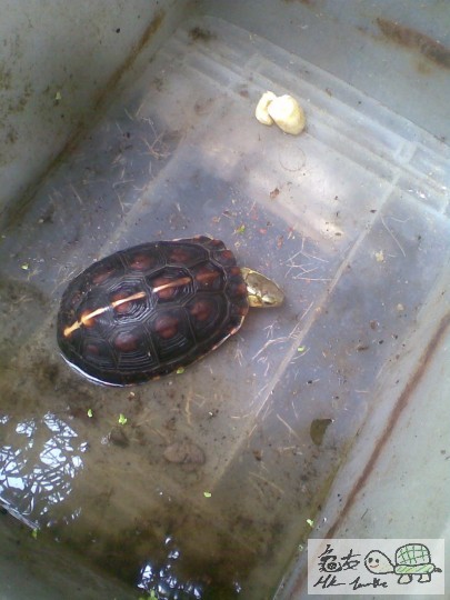 重有冇, 搵下先