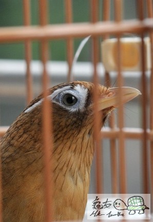 180401blm8jxmqlgyccncy.jpg.thumb.jpg
