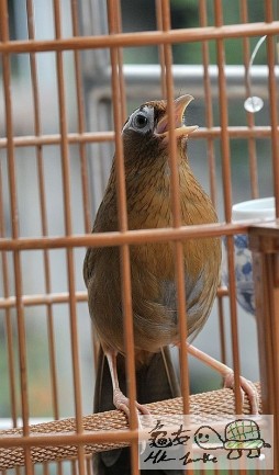 180414o1188zr0t1e1p01g.jpg.thumb.jpg