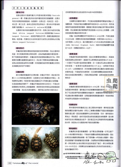 陆龟全记录 102.jpg