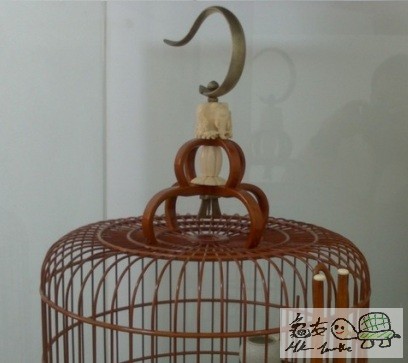 畫眉 (10).jpg