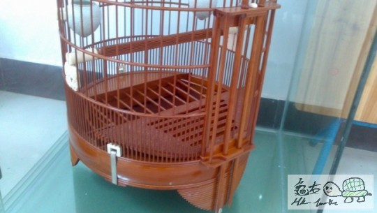 畫眉 (11).jpg