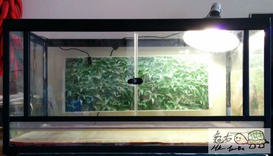 爬缸 99 x 47.5 x 50 cm