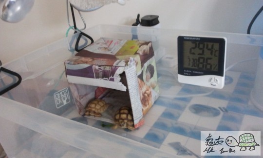 2014-06-27 19.37.26.jpg