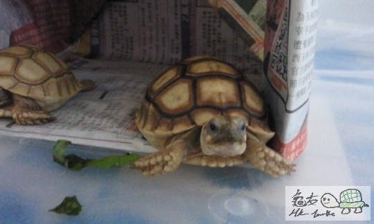 2014-06-27 19.37.41.jpg