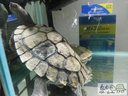 2014-06-26 21.48.09.jpg