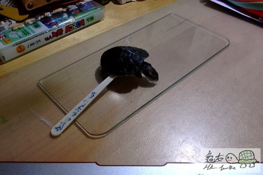 Photo on 26-07-2014 at 23.08.jpg