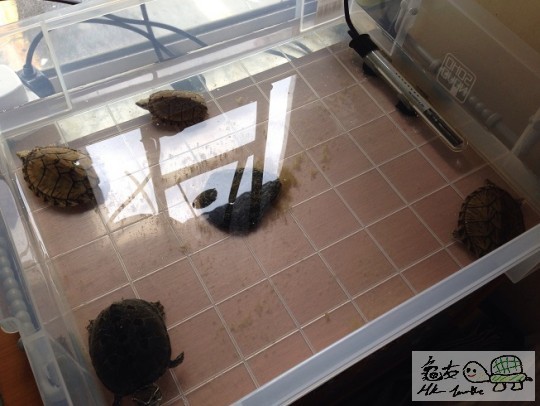 2014-07-27 11.32.04.jpg