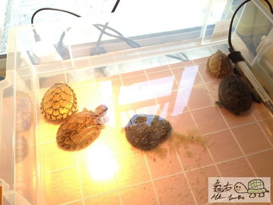 2014-07-27 13.17.44.jpg