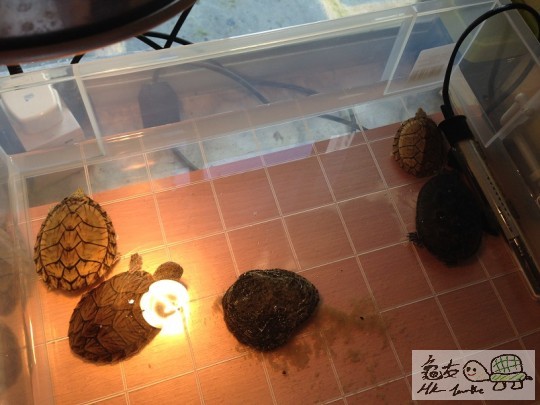 2014-07-27 13.17.50.jpg