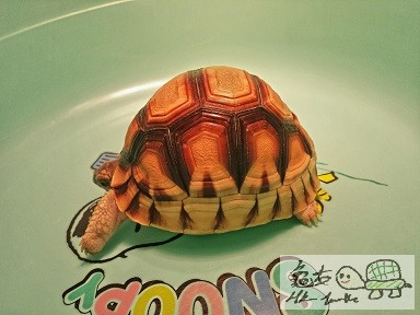 2014-08-01 05.36.29.jpg1.jpg