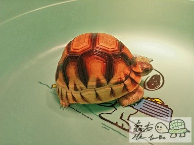 2014-08-01 05.36.51.jpg1.jpg