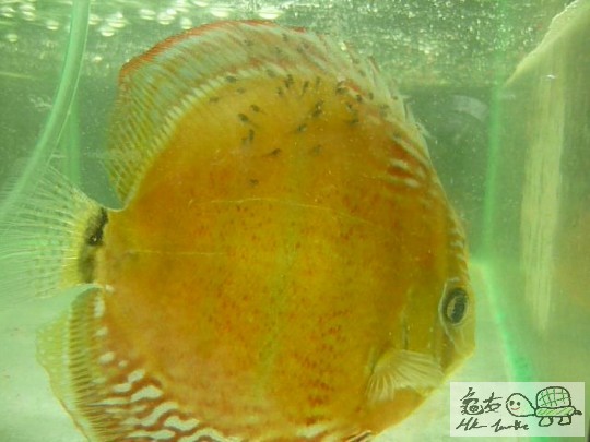 P1050441.JPG
