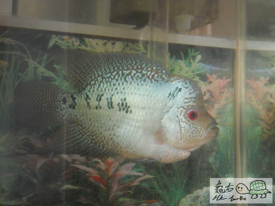 DSCN3440.JPG