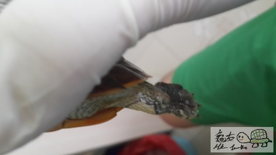 20140811_152150 jpg.jpg