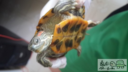 20140811_152136 jpg.jpg