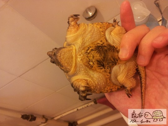 20130818_170122.jpg
