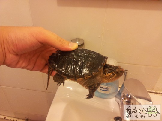 20130818_170138.jpg