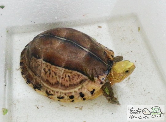 複製 (2) -20140824_145237.jpg