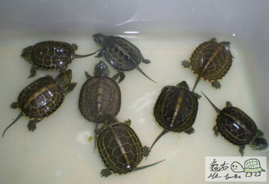 複製 -211623vzzpxh2hfp7xphhp.jpg