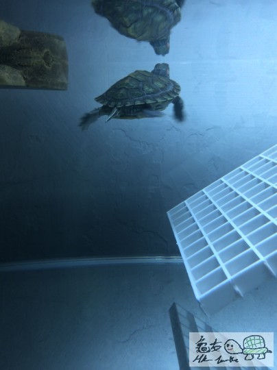 2014-09-04 16.37.15.jpg