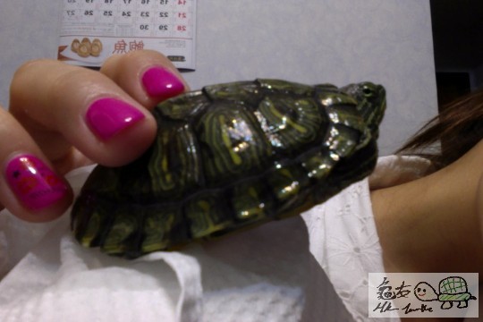 Photo on 8-9-14 at 1.17 am #3.jpg