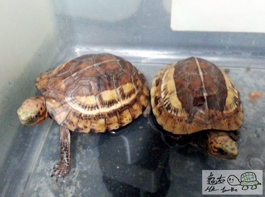 複製 -20140923_174805.jpg