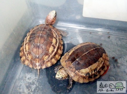 複製 -20140923_174646.jpg