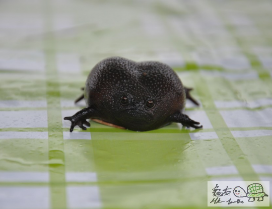 2014-09-23 23.07.47.png