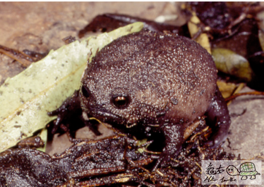 2014-09-23 23.08.30.png