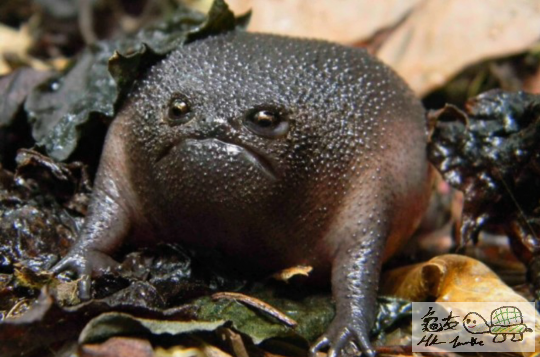 2014-09-23 23.09.31.png