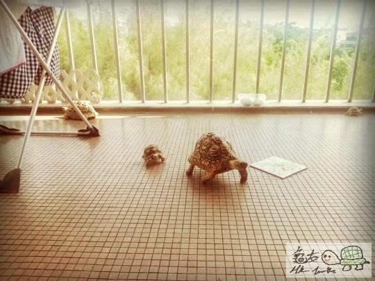 10626545_676169472465566_5470034197855893689_n (1).jpg