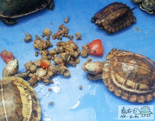 複製 -011_142920.jpg