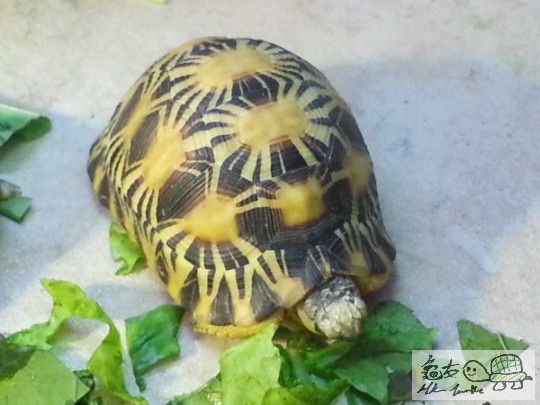 複製 -20141015_135908.jpg