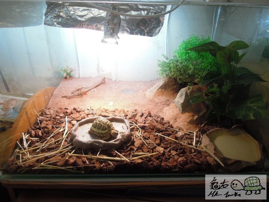 DSCN0128.JPG