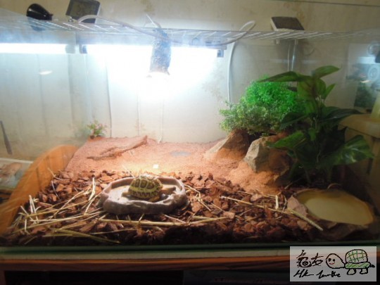 DSCN0129.JPG