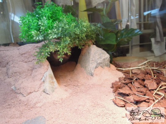 DSCN0131.JPG