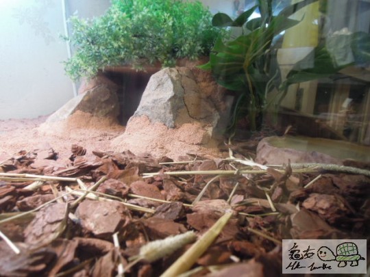 DSCN0132.JPG