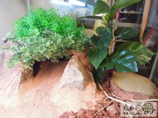 DSCN0133.JPG