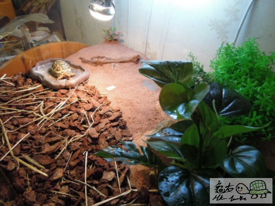 DSCN0139.JPG