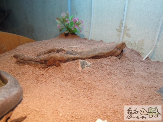 DSCN0143.JPG