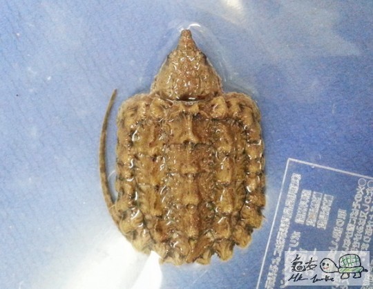 複製 -20141025_132644.jpg