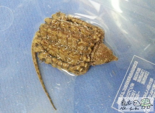 複製 -20141025_132726.jpg