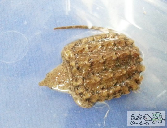 複製 -20141025_132737.jpg